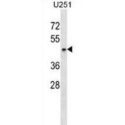 abx029269