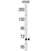abx029423