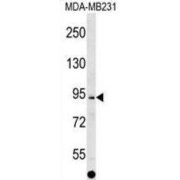 abx029627