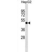 abx030189