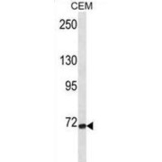 abx030477