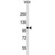 abx030505
