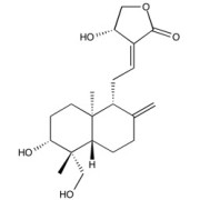 Andrographolide