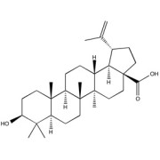 Betulinic acid