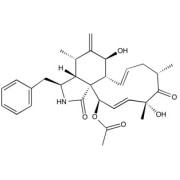 Cytochalasin D