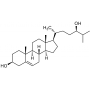 24(S)-hydroxycholesterol