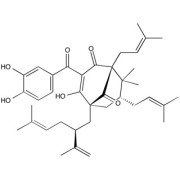 Garcinol