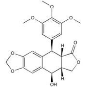 Picropodophyllotoxin