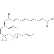 Fumagillin