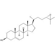 24,25-Epoxycholesterol