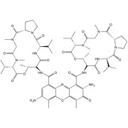 7-Amino Actinomycin D