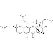 Gambogic acid