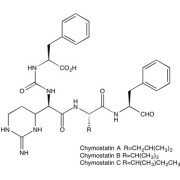 Chymostatin