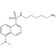 Dansylcadaverine