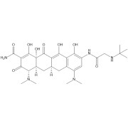 Tigecycline