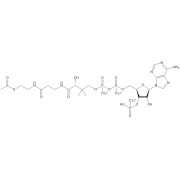 Acetyl-Coenzyme A, 3Li trihydrate