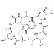 Phalloidin