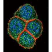 abx031703