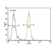 Ectonucleotide Pyrophosphatase/phosphodiesterase 2 (ENPP2) Antibody