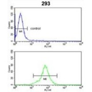 26S Proteasome Non-ATPase Regulatory Subunit 13 (PSMD13) Antibody