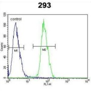 Phospholipase A2 (PLA2G1B) Antibody