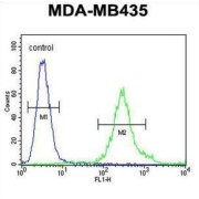 F-Box/LRR-Repeat Protein 2 (FBXL2) Antibody