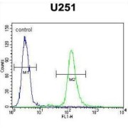 Arf-GAP With Coiled-Coil, ANK Repeat And PH Domain Containing Protein 3 (ACAP3) Antibody