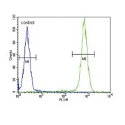 Interleukin 4 (IL4) Antibody