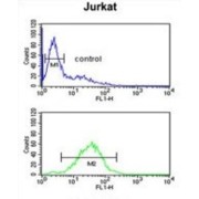 MFRN2 Antibody