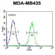 PYHIN1 Antibody