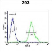 BTB/POZ Domain-Containing Protein KCTD21 (KCTD21) Antibody
