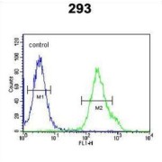 BTB/POZ Domain-Containing Protein KCTD21 (KCTD21) Antibody