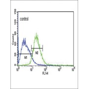 TXTP Antibody