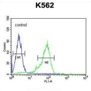 Glucagon-Like Peptide 1 (GLP1) Antibody