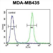 Thyrotropin-Releasing Hormone-Degrading Ectoenzyme (TRHDE) Antibody
