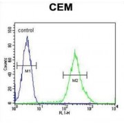c-Myc-Responsive Protein RCL (DNPH1) Antibody