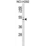abx032700