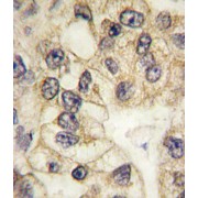 abx032788
