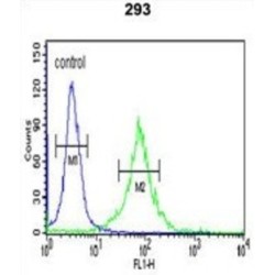 APC Membrane Recruitment Protein 1 (AMER1) Antibody
