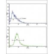 Multidrug Resistance Associated Protein 1 (ABCC1) Antibody