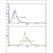 abx032935
