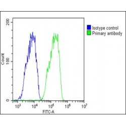 Transthyretin (TTR) Antibody