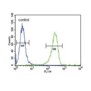 Tissue-Type Plasminogen Activator (PLAT) Antibody