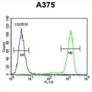 PALA Antibody