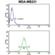 abx033055