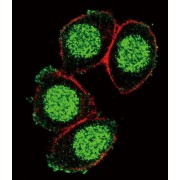 abx033071