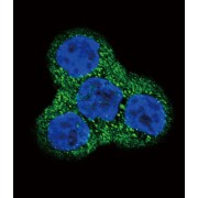abx033594