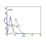 Dopamine Receptor D4 (DRD4) Antibody