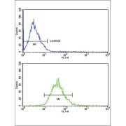 Low Density Lipoprotein Receptor (LDLR) Antibody