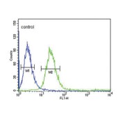 Putative High Affinity Immunoglobulin Gamma Fc Receptor IB (FCGR1B) Antibody